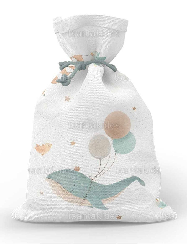 Προσκλητήριο βάπτισης αγόρι TS554