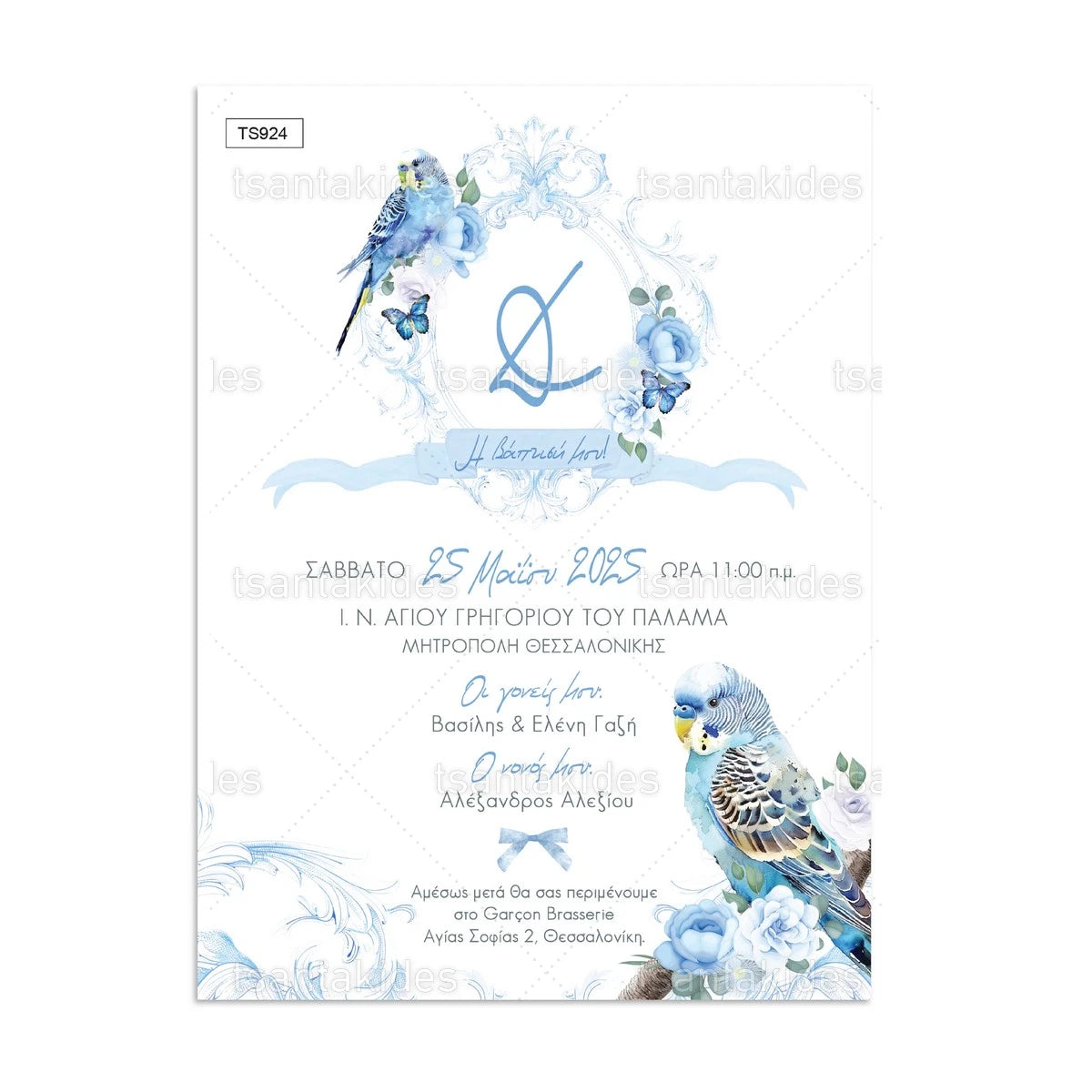 Πακέτο βάπτισης blue bird